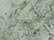 Fern Fern